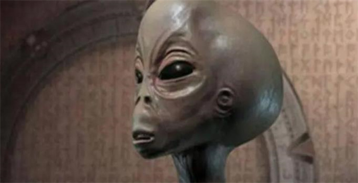 _˹50UFOʬw@Ć