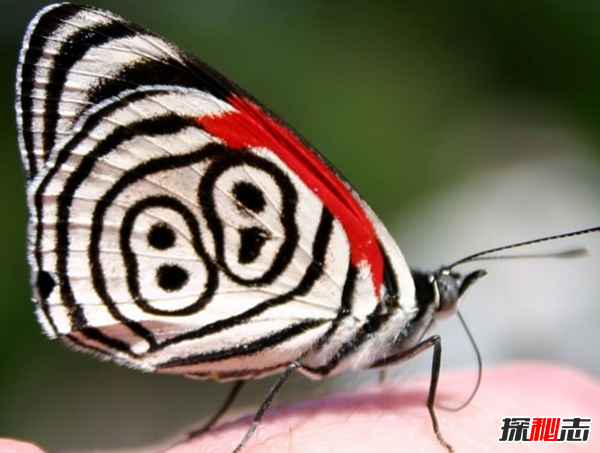 ʮN ʮb,ıC]Ҋ^