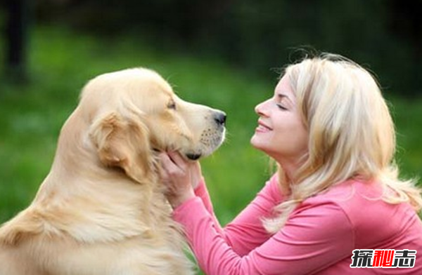 10種動物有神奇的本領(lǐng) 第三能安慰同伴,第一模仿力超強
