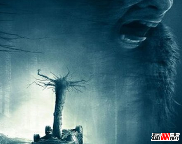世界十大靈異圖片,靈異圖片看懂才恐怖(張張?jiān)幃?