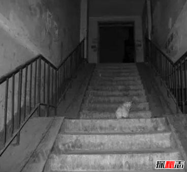 經典靈異故事,猛鬼公交不知你坐過沒(375路)