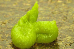 ձ˞ʲôôϲgԽĩ?ʳT
