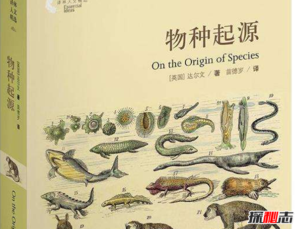 恐龍有沒有羽毛?恐龍大規(guī)模滅絕的原因