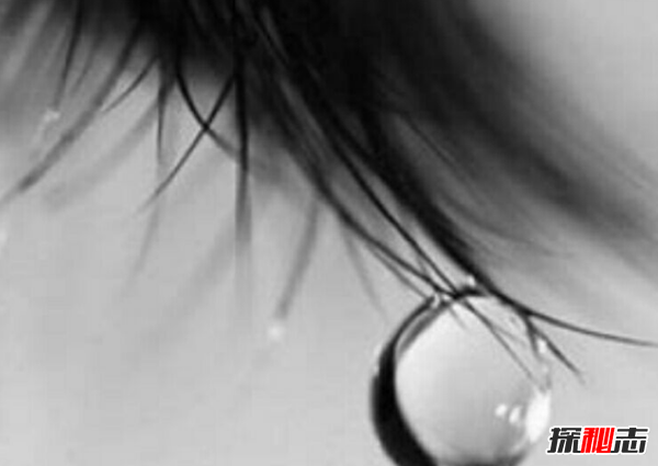 ̫ʲô?ƌW(xu)[m12̫